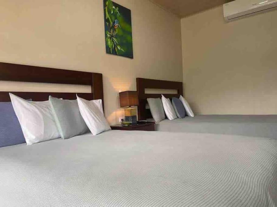 Lisa Loft Boutique Apartment La Fortuna Eksteriør billede