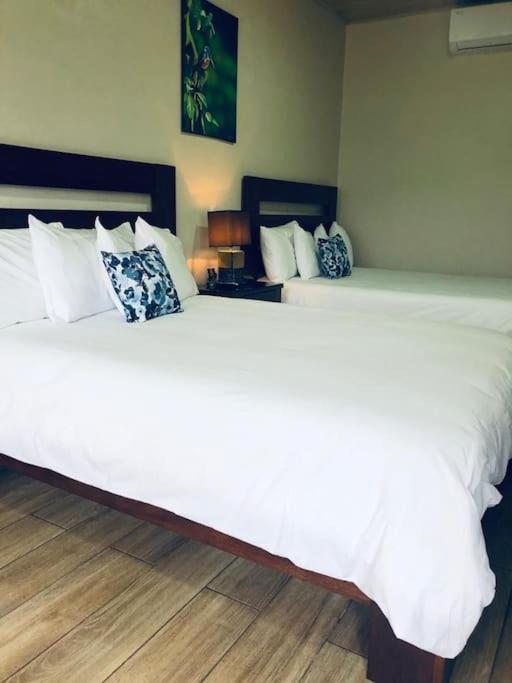 Lisa Loft Boutique Apartment La Fortuna Eksteriør billede