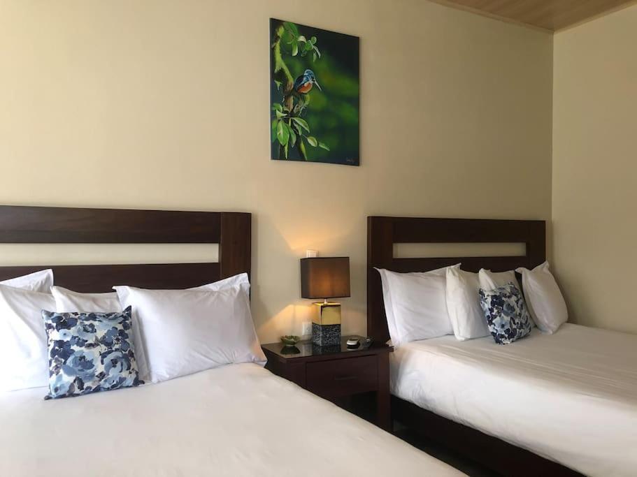 Lisa Loft Boutique Apartment La Fortuna Eksteriør billede